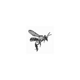 Stingless Bee Temporary Tattoos (15 Pieces) - Bayu Australia